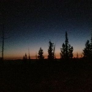 Meet your Posher, Lacinda